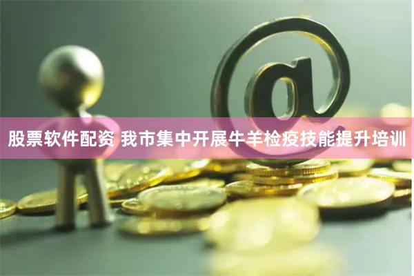 股票软件配资 我市集中开展牛羊检疫技能提升培训