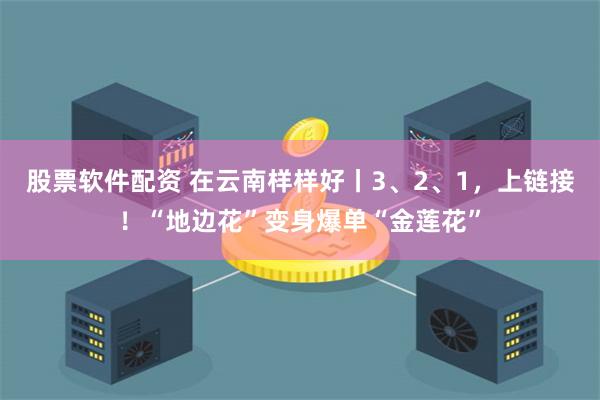 股票软件配资 在云南样样好丨3、2、1，上链接！“地边花”变身爆单“金莲花”