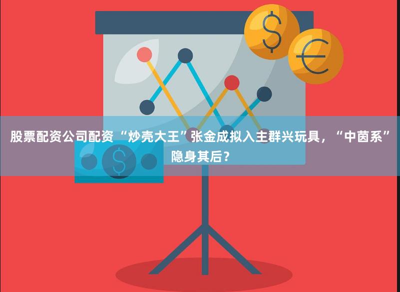 股票配资公司配资 “炒壳大王”张金成拟入主群兴玩具，“中茵系”隐身其后？