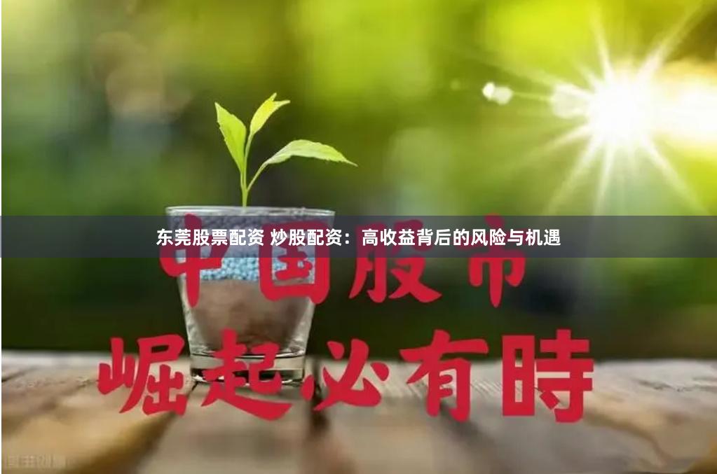 东莞股票配资 炒股配资：高收益背后的风险与机遇
